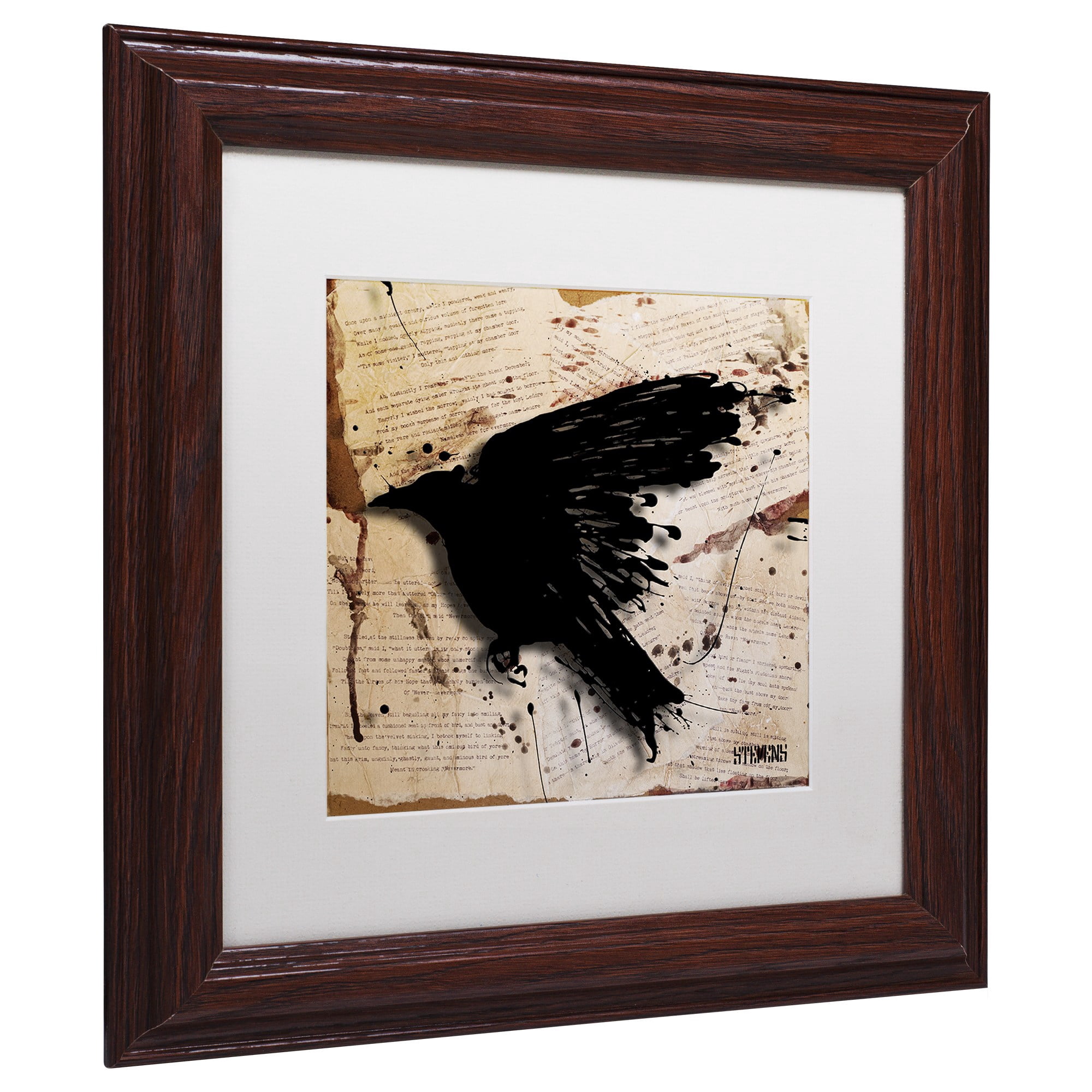 Trademark Fine Art "The Raven 3" Canvas Art by Roderick Stevens, White Matte, Wood Frame