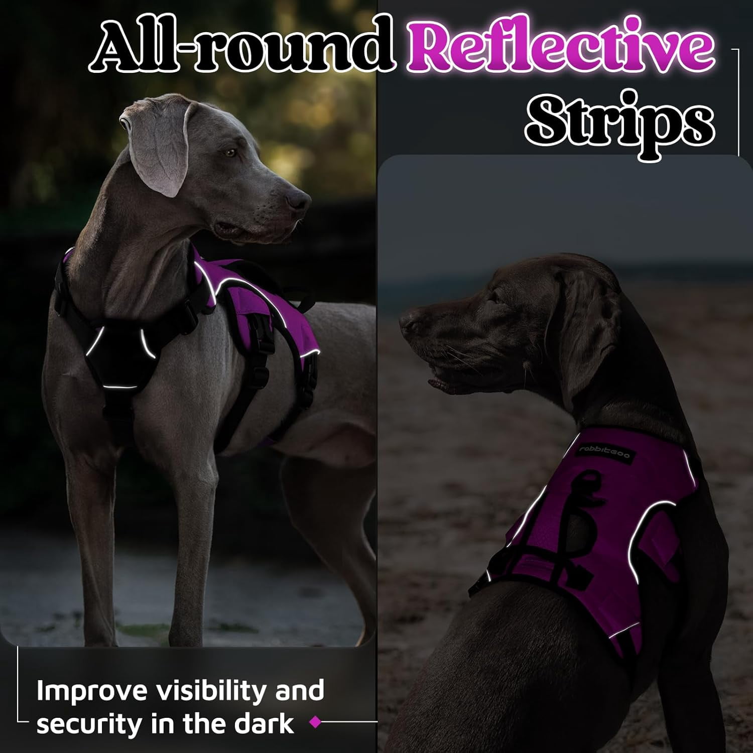 rabbitgoo Escape Proof Dog Harness, Soft Padded Full Body Pet Harness, Reflective Adjustable No Pull Vest with Lift Handle and Lesh Clip for Large Dogs Walking Hiking Training, Purple