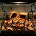 thumbnail image 6 of Reptile Climbing Loops,Eight Rings Snake Climbing Rings for Ball Python | Terrarium Habitat Decor | Snakes Tank Accessories for Climb Toys, 6 of 6