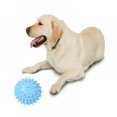 thumbnail image 4 of Pet Environmentally Friendly Non-toxic Molar Cleaning Tooth Footprint Small Ball Toy, 4 of 6