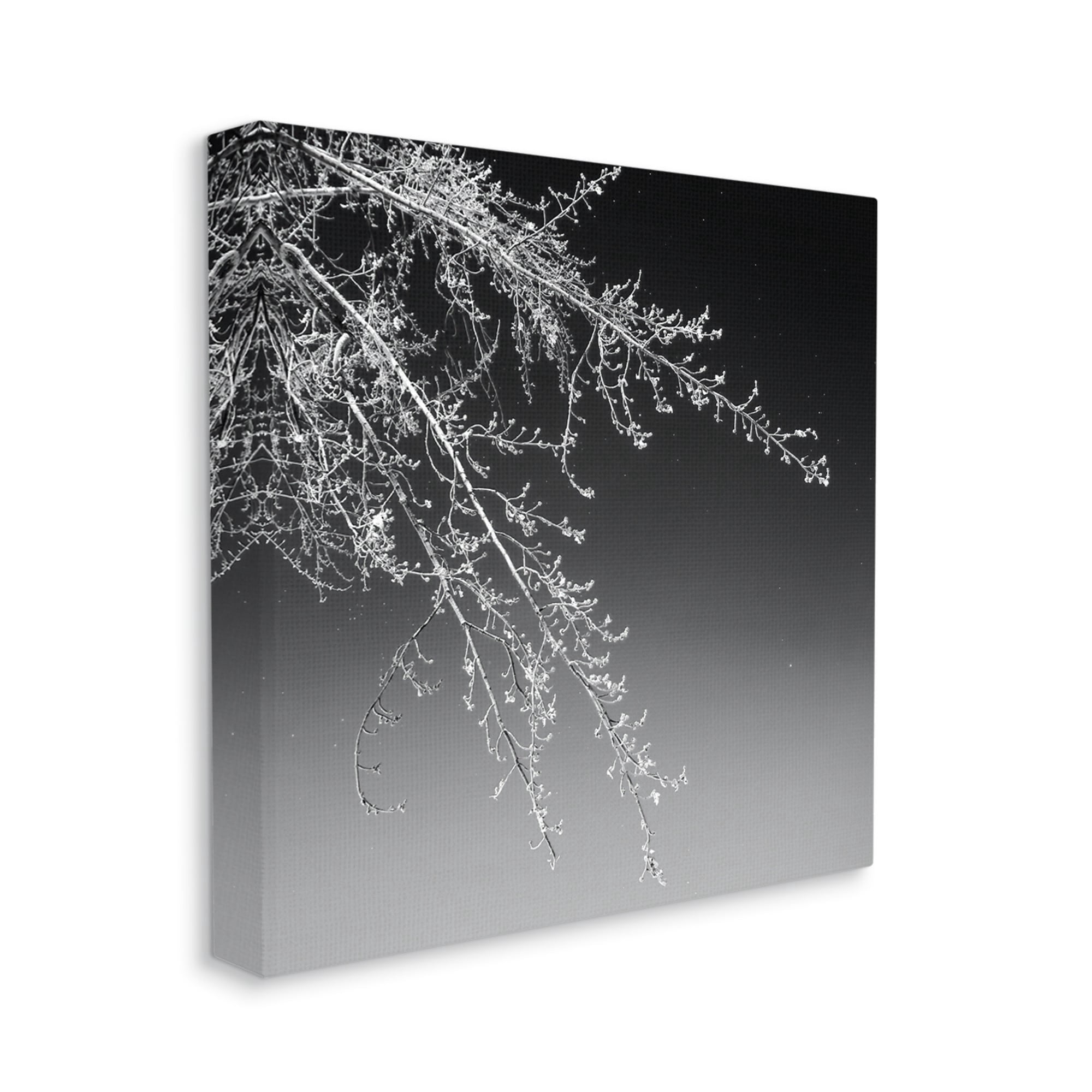 Tree Branch Black and White Contrasting Starry Sky Botanical & Floral Gallery-Wrapped Canvas Print Wall Art, 17x17