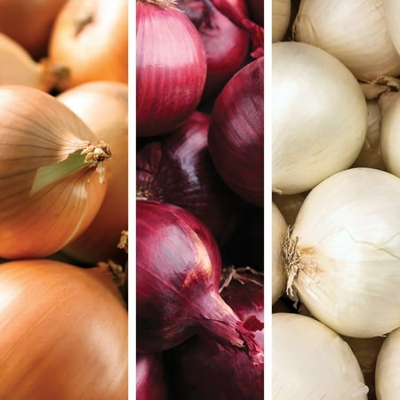Onion Lovers' Trio