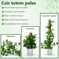 thumbnail image 5 of Troxlin Moss Pole for Climbing Plants, 5 Pack 15" Coir Totem Poles Natural Coconut Fiber, Stackable Plant Support Stakes for Indoor Monstera and Pothos to Grow Upward, 5 of 8