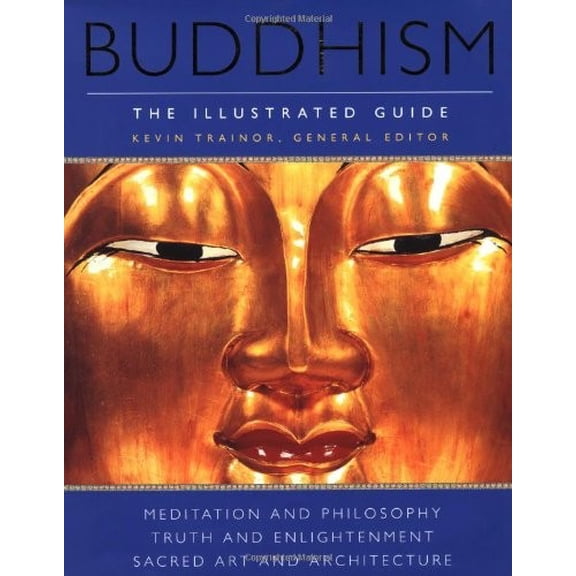 Pre-Owned Buddhism: The Illustrated Guide (Hardcover) 0195218493 9780195218497