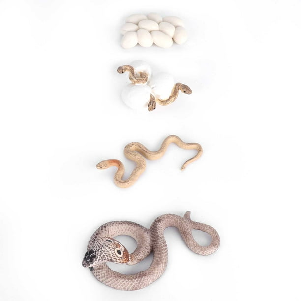 Couchette enfant Evolution – Serpent à Lunettes