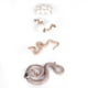 thumbnail image 1 of Ciclo de Vida del Crecimiento de la Serpiente, Ciclos de Vida de Animales de PlásTico Confiaciones para Regalos para Renovar la Hábita Hábil, 1 of 7