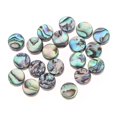 thumbnail image 1 of 20PCS 10MM Abalone Shell Jewelry Accessories for DIY Necklace Bracelet Hanging Pendant, 1 of 9