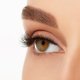 thumbnail image 4 of Ardell Strip Lashes Naked Lashes #421, 4 Pares x 2 Unidades, 4 of 9