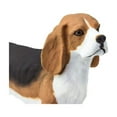 thumbnail image 4 of Safari Ltd. Beagle Figurine - Lifelike 2.5" Model Figure - Educational Toy for Boys, Girls, and Kids Ages 3+, 4 of 6