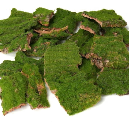 Assorted Artificial Moss Bark, Decorative Mossy Tree Bark for DIY Crafts, Fairy Gardens, Terrariums, Floral Arrangements (Realistic Green - 100gr)
