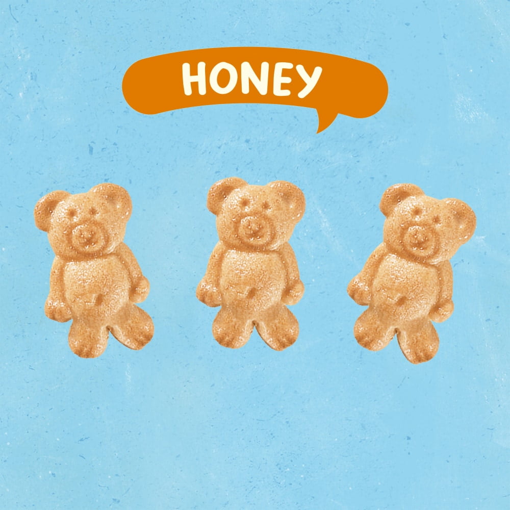 Nabisco TEDDY GRAHAMS Honey Cookies Multipack 10 ct / 1 oz - 5 Pack