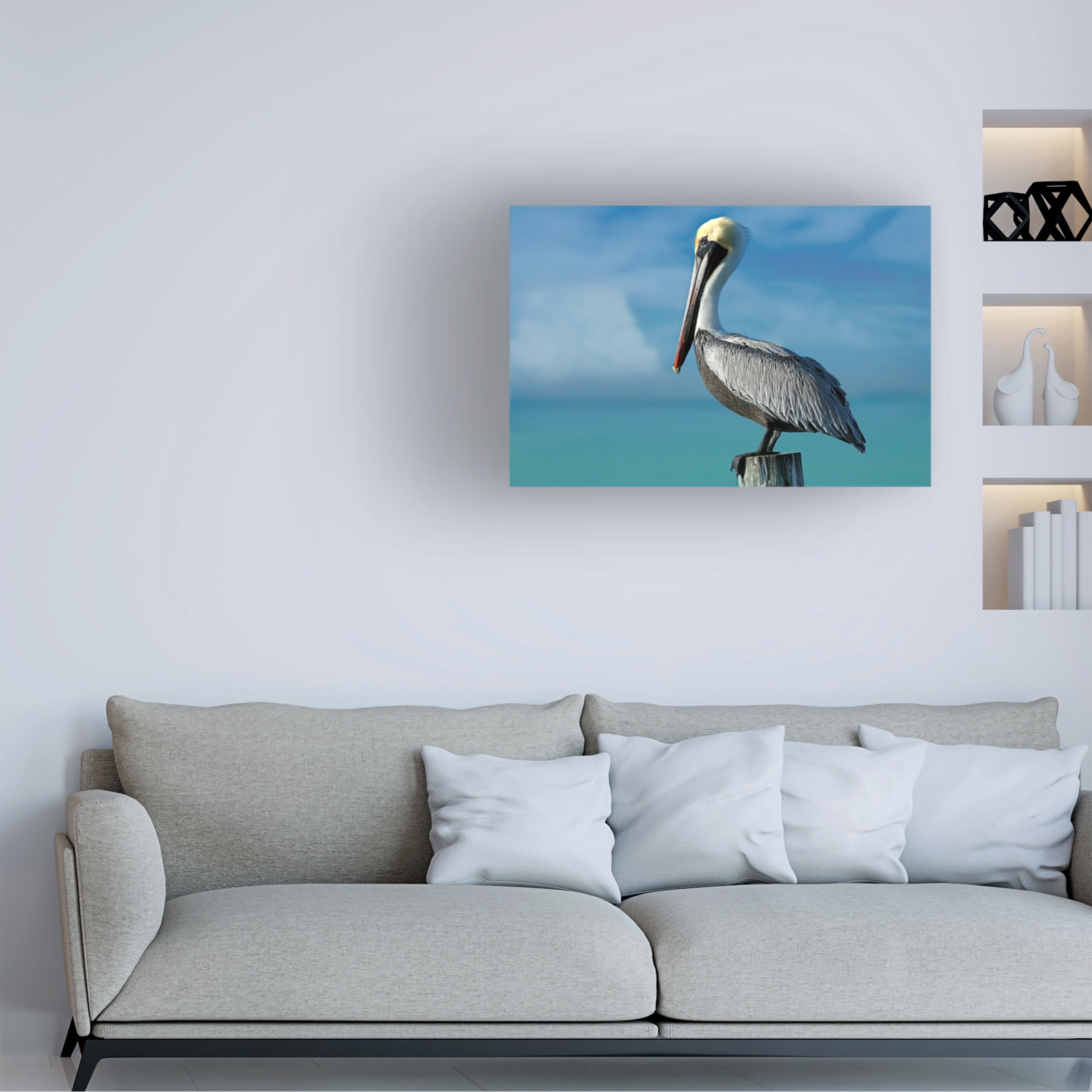 Trademark Fine Art 'Pelican' Canvas Art by Mike Jones Photo
