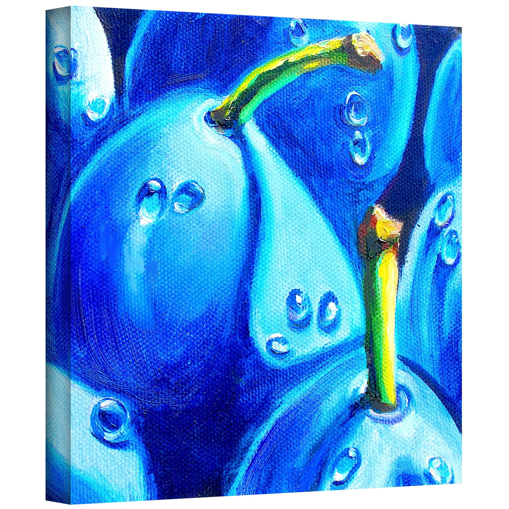 ArtWall Susi Franco "Plum Juicy Dew Drops" Gallery-wrapped Canvas