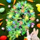 thumbnail image 5 of Guirnalda de oropel de Pascua Chuangdi de 5 m con cadena de luces LED, 5 of 8