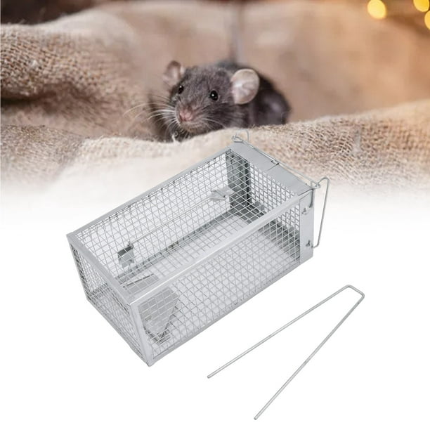 Ccdes Cage de piège à souris en fer pour rats à porte unique Piège à animaux  vivants pour petit animal extérieur intérieur, Piège à rats, Piège à rats  sans cruauté 
