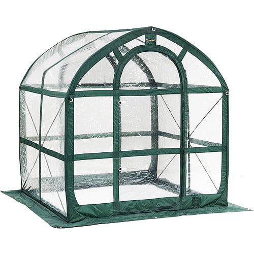 SpringHouse Clear Greenhouse by Overstock
