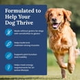 thumbnail image 2 of Blue Buffalo Life Protection Formula Grain Free Adult Dry Dog Food, Chicken, 4lb Bag, 2 of 11