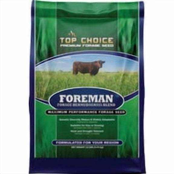 Mountain View Seeds 12 Lb. Foreman Bermudagrass I114185