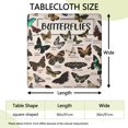 thumbnail image 2 of Butterfly Species Chart Square Fitted Tablecloth with Elastic Edge,Square Table Cover,Washable Elastic Table Cover for Home Kitchen Party Decor 36"x36", 2 of 6