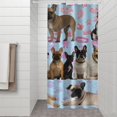 thumbnail image 2 of French Bulldogs Shower Curtain 36"x72" ,Bathroom Decorative Shower Curtains Set with 12 Hooks,Modern Waterproof Washable Shower Curtain, 2 of 6