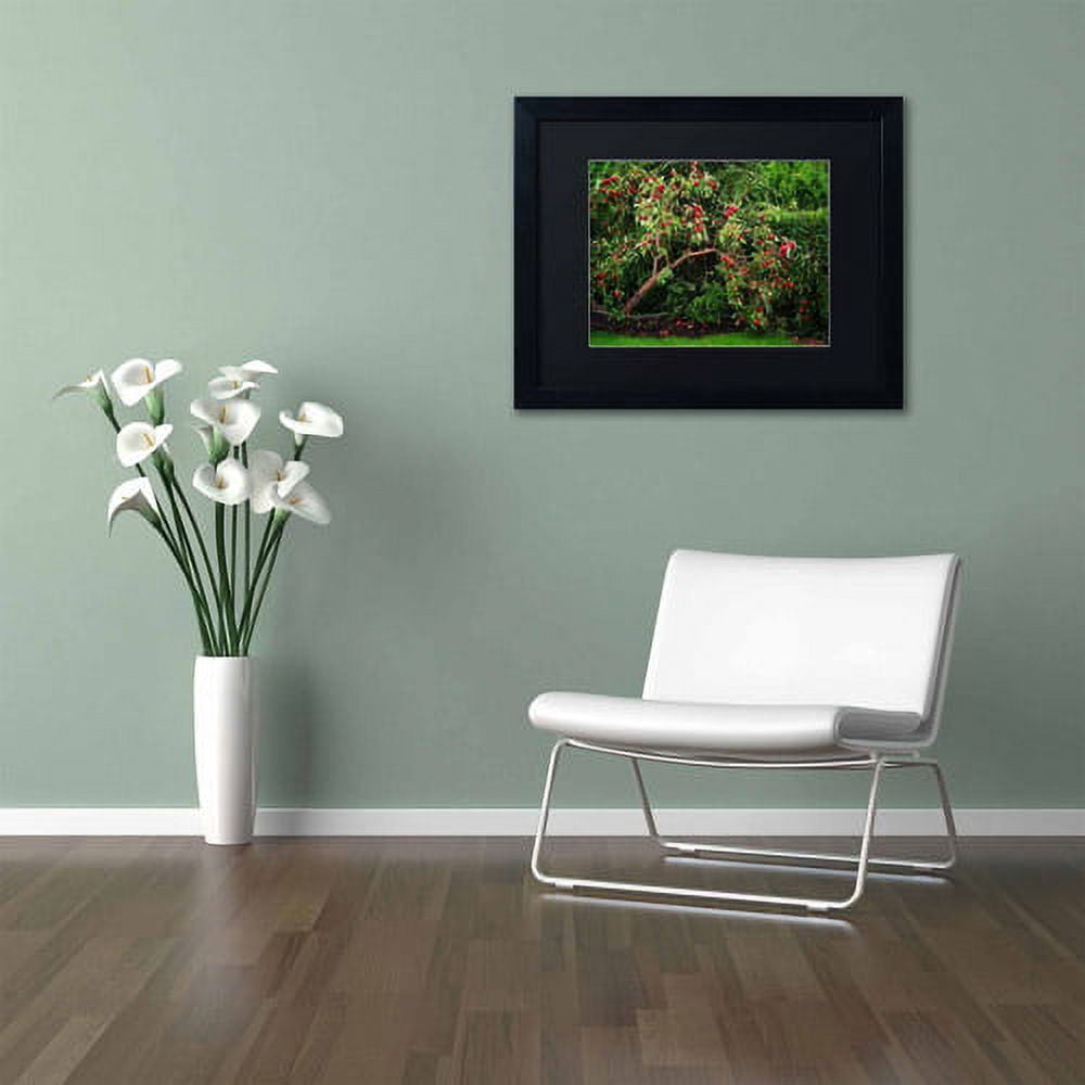 Trademark Fine Art "The Apple Tree" Canvas Art by Philippe Sainte-Laudy, Black Matte, Black Frame