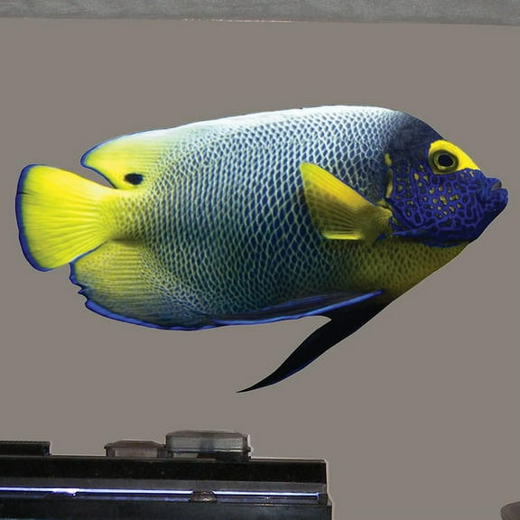 Wallhogs Angel Cutout Wall Decal