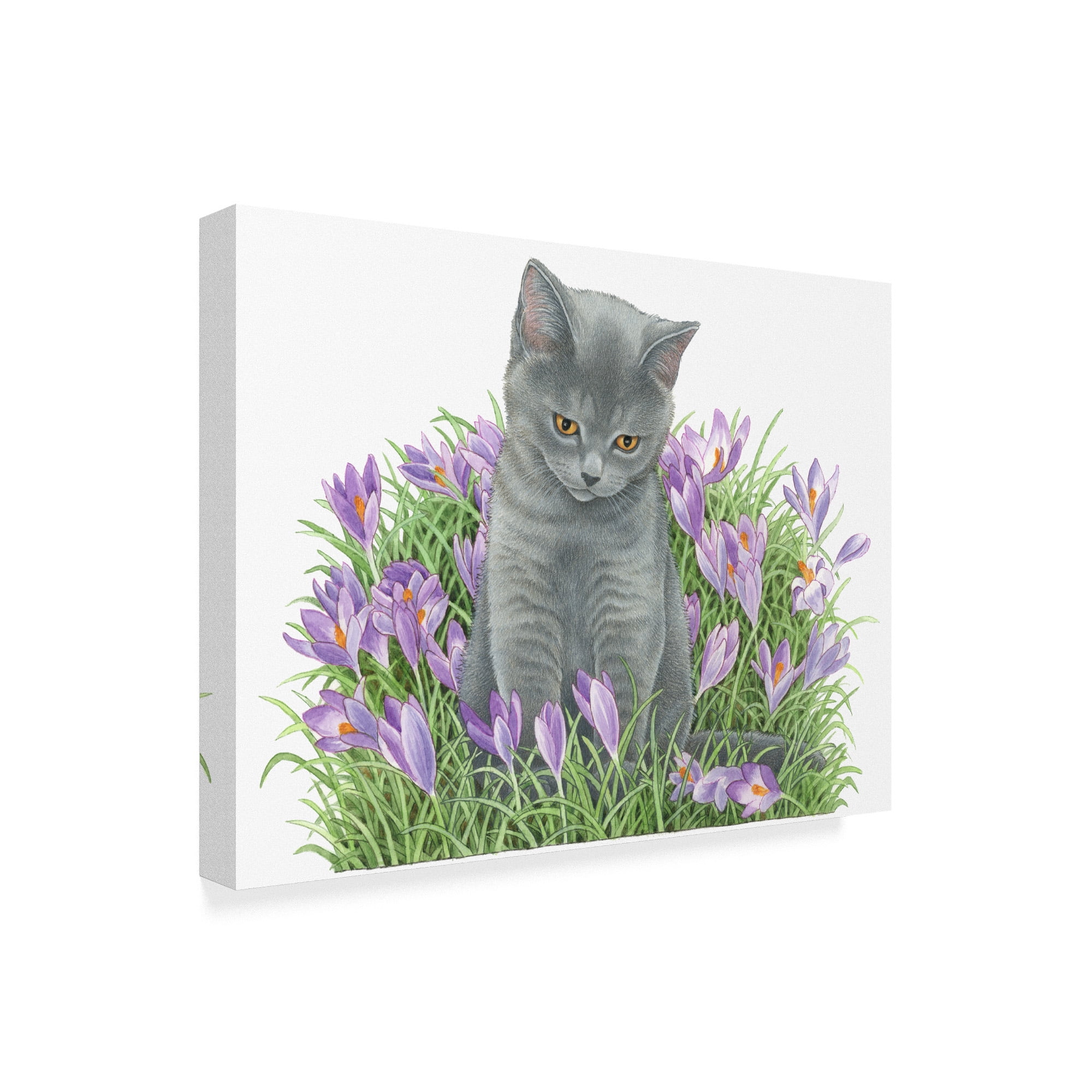 Trademark Fine Art 'Gray Cat In Flowers' Canvas Art by Francien Van Westering