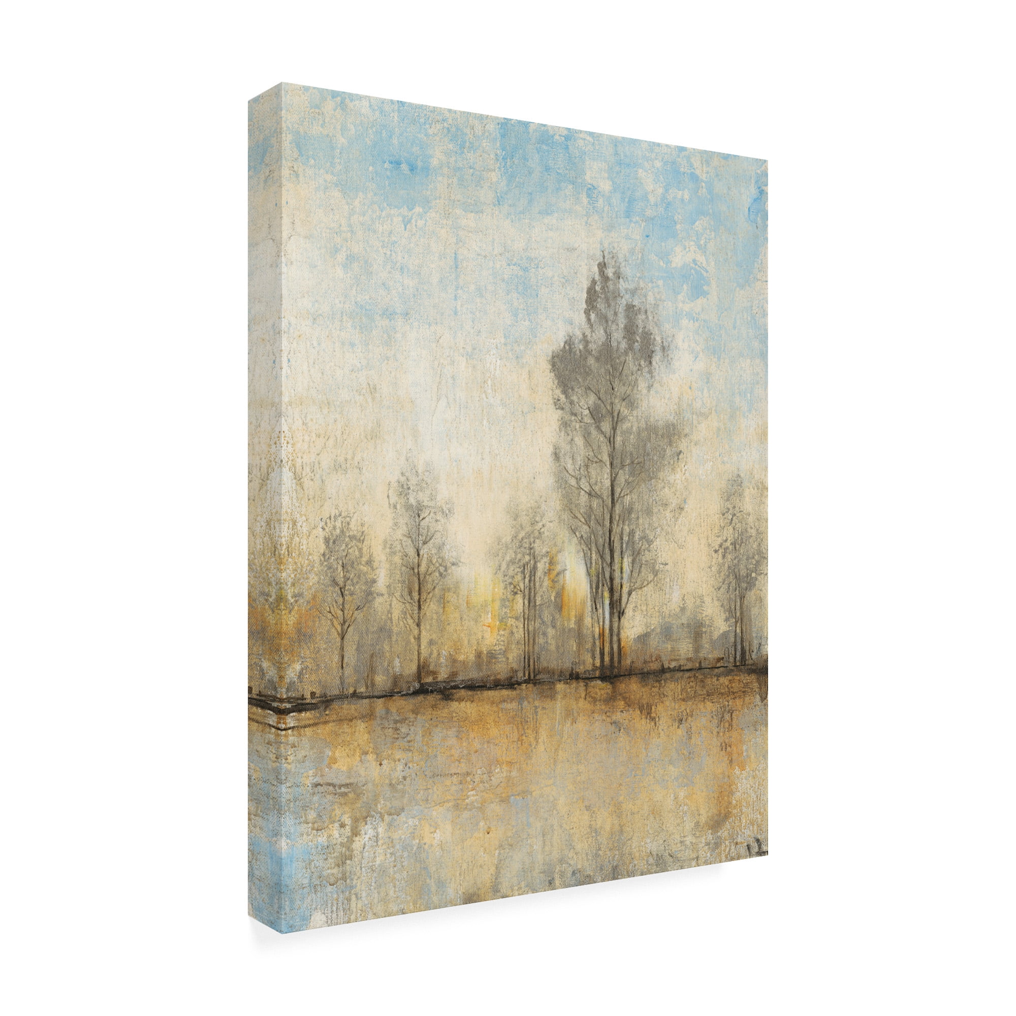 Trademark Fine Art 'Quiet Nature I' Canvas Art by Tim OToole