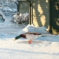 thumbnail image 4 of Acrylic Duck Yard Ornaments - Double-Sided Garden Stake Decorations, Ground Insert Animal Sculpture Statue for Lawn, Patio, Farmhouse Outdoor Yard Art & Garden Decor, 4 of 6