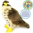 thumbnail image 5 of Percival the Peregrine Falcon | 9 Inch Hawk Stuffed Animal Plush Bird | By TigerHart Toys, 5 of 7