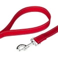 thumbnail image 4 of Country Brook Petz - 3/4 Inch Reflective Nylon Dog Leash, 4 of 5
