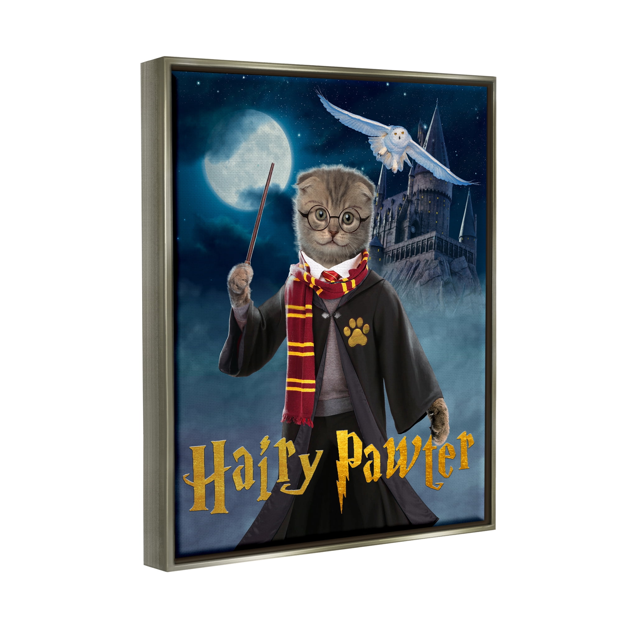 Stupell Industries Hairy Pawter Cat Wizard Animals & Insects Painting Gray Floater Framed Canvas Art Print Wall Art, 17 x 21