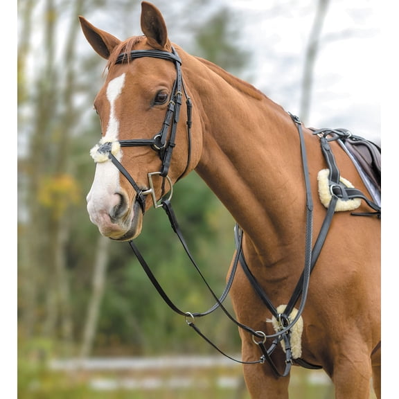 Shires Five Point Breastplate Size: Cob Color: Black