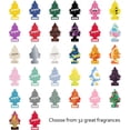 thumbnail image 5 of Little Trees Car Air Freshener ORANGE JUICE Scent Home Room Office Odor Eliminator (24-Pack), 5 of 8
