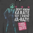 thumbnail image 2 of James Brown I Don't Know Karate Unisex Adult Pull-Over Heather Hoodie, Black Heather, Large, 2 of 3