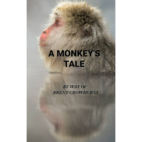 A Monkey's Tale, (Paperback)