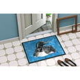 thumbnail image 4 of Carolines Treasures 8717JMAT Loon Doormat 24x36 36"L x 24"W multicolor, 4 of 4