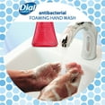 Dial Complete Antibacterial Foaming Hand Wash, Power Berries, 7.5 fl oz