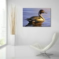 thumbnail image 6 of Epic Art 'Lone Pintail' by Mark Mueller Wildlife Art, Acrylic Glass Wall Art, 36"x24", 6 of 8