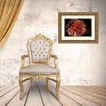 thumbnail image 3 of Engelbrecht, Jim 32x23 Gold Ornate Wood Framed with Double Matting Museum Art Print Titled - Independence Day fireworks-USA, 3 of 4