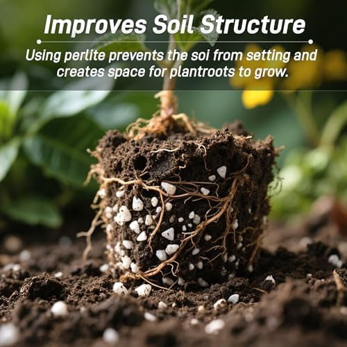 9 Quarts Chunky Perlite for Plant Soil Amendment for Potting Soil, Improves Drainage and Aeration for Soil, Ideal for Succulents, Orchid, Flower Plants (1/4 inch)