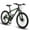 Black-Green, variant on Ecarpat Mountain Bike 24inch, Adults Mens Womens Bicycles, 21-Speed Disc Brakes