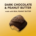 thumbnail image 4 of Dove Large Promises Dark Chocolate Peanut Butter Candy, 55 Oz, 20 Packs Per Carton, 4 of 5
