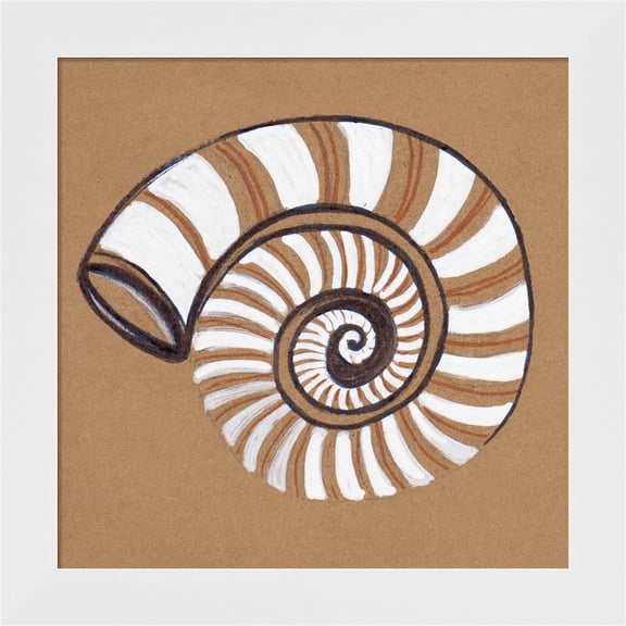 Great Art Now Ocean World Shell by Patricia Pinto, Framed Wall Art, 14W x 14H