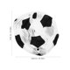 thumbnail image 2 of AURARMLET Disfraz Inflable De Fútbol Para Animación Y Celebraciones En Materiales, 2 of 8