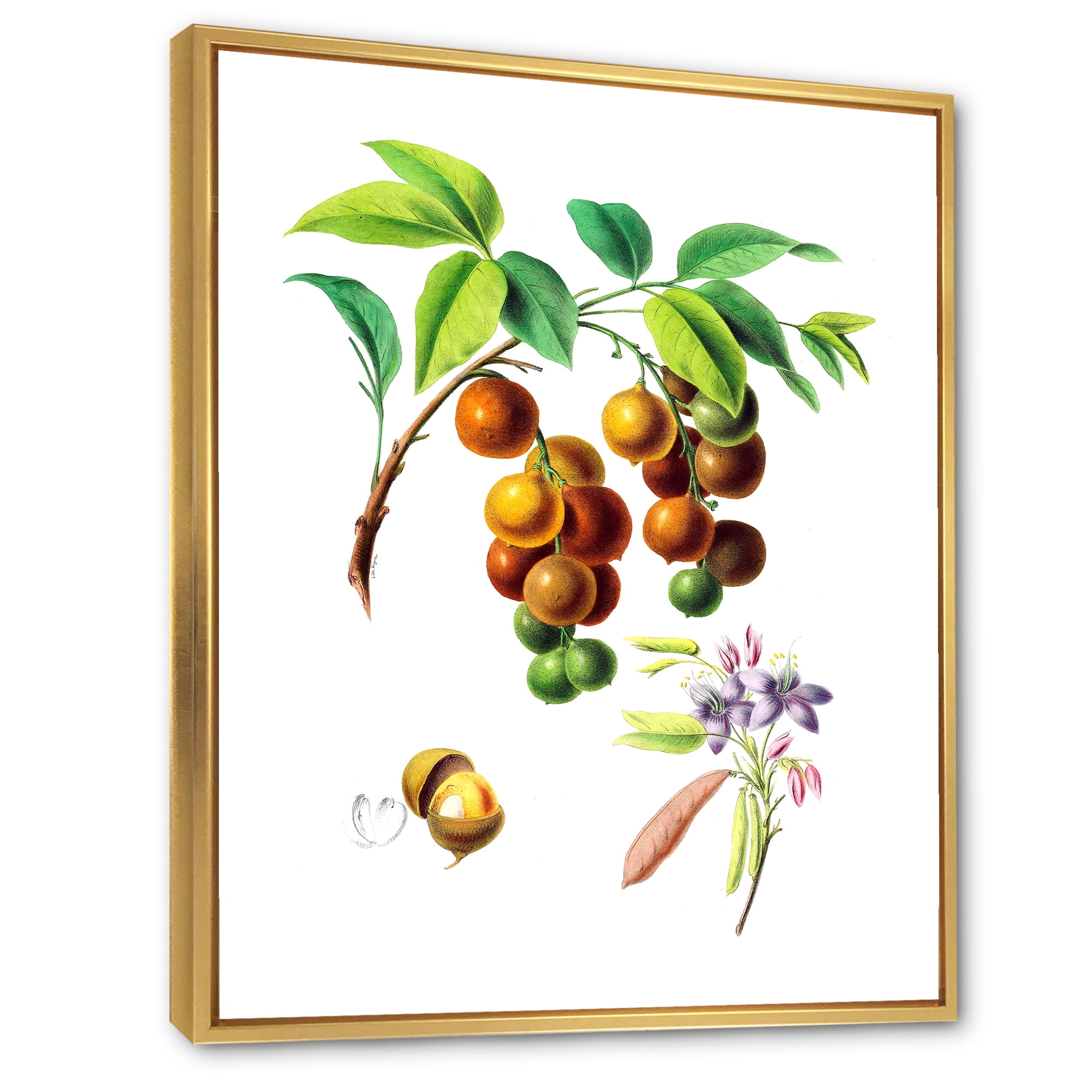 Designart 'Ancient Fruits III' Farmhouse Framed Canvas Wall Art Print