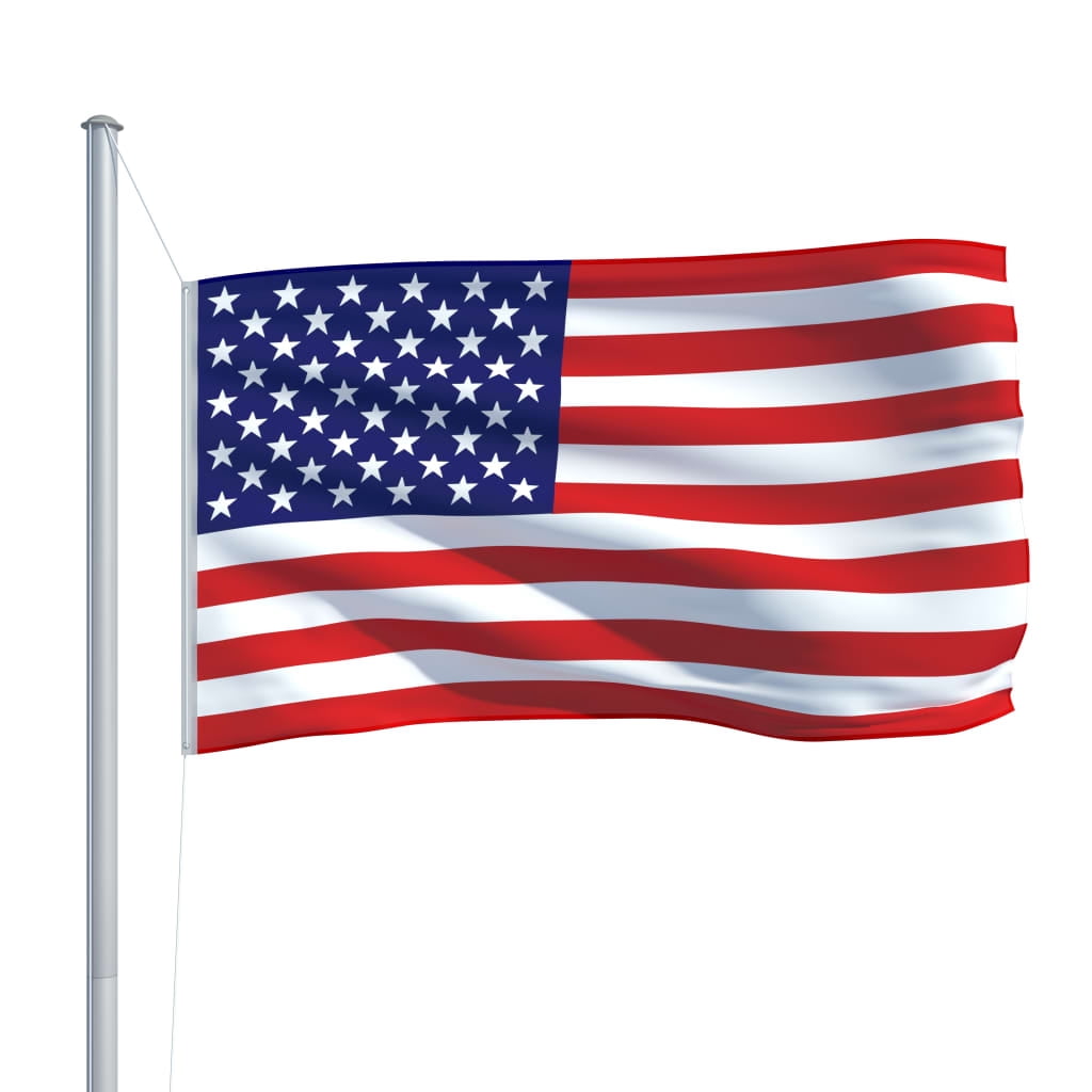 vidaXL 59.1" x 35.4" Patriotic Outdoor Flag, Weatherproof