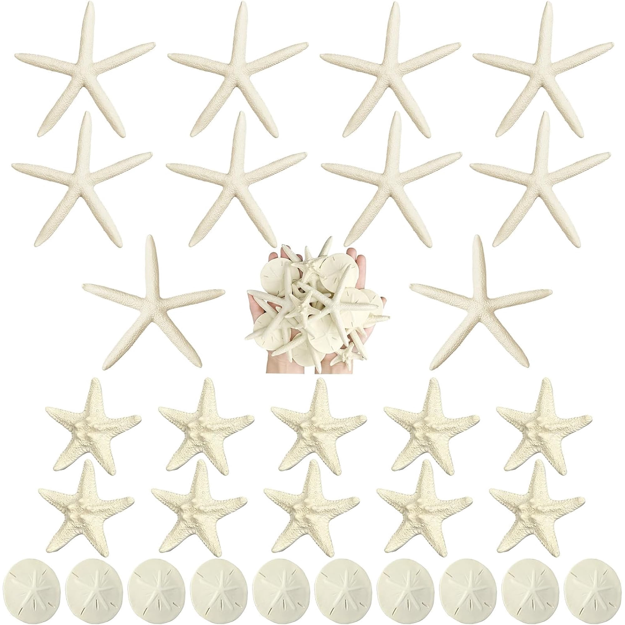 15 Pieces Resin Starfish Sand Dollars 2.0 Inch 4.7 Inch Starfish 2.3 Inch Sand Dollars Crafts Ocean Themed Glittered Coastal Decorations for Summer Wedding Christmas Party Decor Supplies