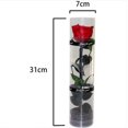 thumbnail image 2 of Real Preserved Rose, Eternal Rose, Long Lasting Rose, Everlasting Flowering Rose, 2 of 5