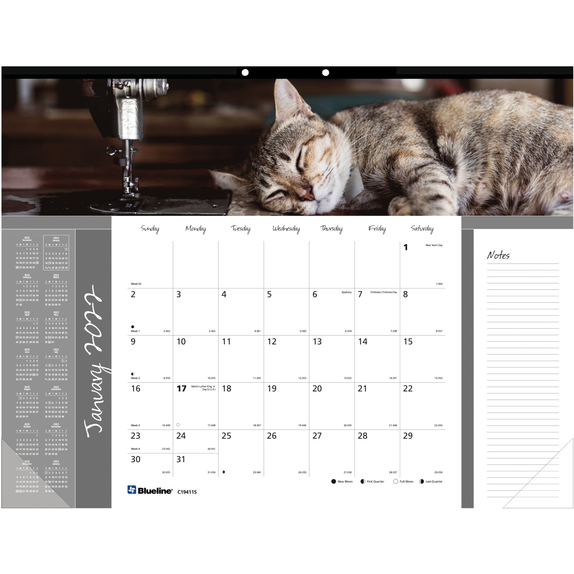 Blueline® Monthly Desk Calendar, 17" x 22", Furry, January To December